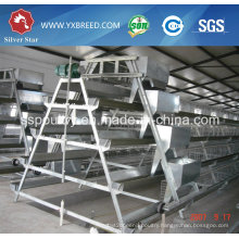 Silver Star Chicken Layer Cage / Poultry Layer Cage / Battery Layer Cage System